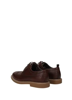 Tata Italia Derby uomo classico Marrone Clearance